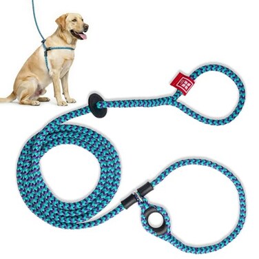 Harness Lead No Pull Dog Harness and Leash Set Anti Pull Dog Harness OnePiece Cushioned Rope Safely Prevents Escaping and Pulling MediumLarge PurpleTurquoise