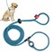 Harness Lead No Pull Dog Harness and Leash Set Anti Pull Dog Harness OnePiece Cushioned Rope Safely Prevents Escaping and Pulling MediumLarge PurpleTurquoise
