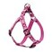 LupinePet Originals 34 Puppy Love 2030 Step In Harness for Medium Dogs