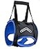 Walkabout Back End Harness Dog and Cat Lifting Aid for Pets Needing Assistance with WalkingMobility A Dog Support Harness for Back Legs XSmall 913 Abdomen