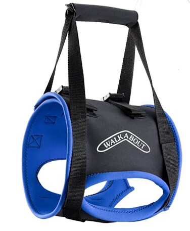Walkabout Back End Harness Dog and Cat Lifting Aid for Pets Needing Assistance with WalkingMobility A Dog Support Harness for Back Legs XSmall 913 Abdomen