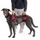 Doggie Stylz MultiFunctional FullBody Lifting Dog Harness Vest Designed for FrontOnly RearOnly or FullBody Lifting Please Measure Your Dog Before Ordering