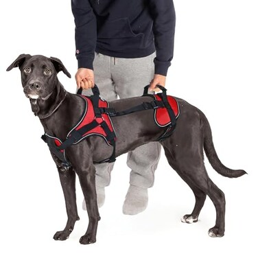 Doggie Stylz MultiFunctional FullBody Lifting Dog Harness Vest Designed for FrontOnly RearOnly or FullBody Lifting Please Measure Your Dog Before Ordering