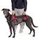 Doggie Stylz MultiFunctional FullBody Lifting Dog Harness Vest Designed for FrontOnly RearOnly or FullBody Lifting Please Measure Your Dog Before Ordering