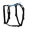 Blue-9 Blue9 BuckleNeck Balance Harness Fully Customizable Fit NoPull Harness Ideal for Dog Training and Obedience Made in The USA Sky Blue Medium