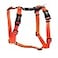 Blue-9 Blue9 BuckleNeck Balance Harness Fully Customizable Fit NoPull Harness Ideal for Dog Training and Obedience Made in The USA Orange XSmall