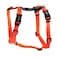 Blue-9 Blue9 BuckleNeck Balance Harness Fully Customizable Fit NoPull Harness Ideal for Dog Training and Obedience Made in The USA Orange XSmall