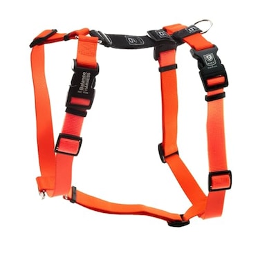 Blue-9 Blue9 BuckleNeck Balance Harness Fully Customizable Fit NoPull Harness Ideal for Dog Training and Obedience Made in The USA Orange XSmall