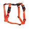 Blue-9 Blue9 BuckleNeck Balance Harness Fully Customizable Fit NoPull Harness Ideal for Dog Training and Obedience Made in The USA Orange XSmall