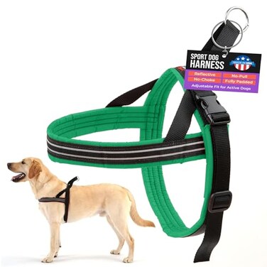 ComfortFlex Sport Dog Harness NoChoke Fully Padded NonChafing Harness with Control Handle Reflective Lightweight Adjustable for Active Dogs Small Kelly Green