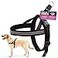 ComfortFlex Sport Dog Harness NoChoke Fully Padded NonChafing Harness with Control Handle Reflective Lightweight Adjustable for Active Dogs SmallMedium Raven Black