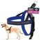 ComfortFlex Sport Dog Harness NoChoke Fully Padded NonChafing Harness with Control Handle Reflective Lightweight Adjustable for Active Dogs Small Mariner Blue
