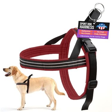 ComfortFlex Sport Dog Harness NoChoke Fully Padded NonChafing Harness with Control Handle Reflective Lightweight Adjustable for Active Dogs SmallMedium Bordeaux