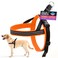 ComfortFlex Sport Dog Harness NoChoke Fully Padded NonChafing Harness with Control Handle Reflective Lightweight Adjustable for Active Dogs Medium Hunter Orange