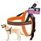 ComfortFlex Sport Dog Harness NoChoke Fully Padded NonChafing Harness with Control Handle Reflective Lightweight Adjustable for Active Dogs MediumLarge Hunter Orange
