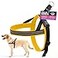 ComfortFlex Sport Dog Harness NoChoke Fully Padded NonChafing Harness with Control Handle Reflective Lightweight Adjustable for Active Dogs Medium Saffron Yellow