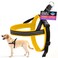 ComfortFlex Sport Dog Harness NoChoke Fully Padded NonChafing Harness with Control Handle Reflective Lightweight Adjustable for Active Dogs Large Saffron Yellow