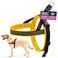 ComfortFlex Sport Dog Harness NoChoke Fully Padded NonChafing Harness with Control Handle Reflective Lightweight Adjustable for Active Dogs Large Saffron Yellow