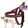 ComfortFlex Sport Dog Harness NoChoke Fully Padded NonChafing Harness with Control Handle Reflective Lightweight Adjustable for Active Dogs Medium Bordeaux