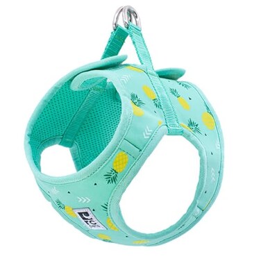 RC Pet Products Cirque Soft Walking Stepin Dog Harness Pineapple Parade Small