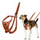 Halti No Pull Harness Stop Your Dog Pulling on the Leash Adjustable Lightweight and Easy to Use Reflective Dog Training Harness for Toy and Small Dogs Size XS Burnt Orange