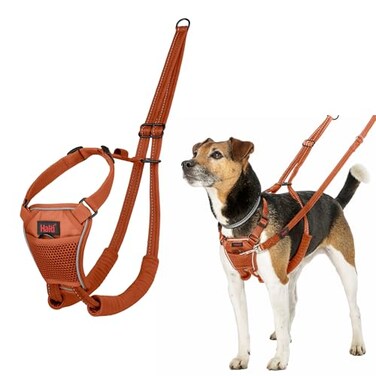 Halti No Pull Harness Stop Your Dog Pulling on the Leash Adjustable Lightweight and Easy to Use Reflective Dog Training Harness for Toy and Small Dogs Size XS Burnt Orange