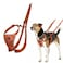 Halti No Pull Harness Stop Your Dog Pulling on the Leash Adjustable Lightweight and Easy to Use Reflective Dog Training Harness for Toy and Small Dogs Size XS Burnt Orange