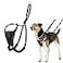 The Company of Animals Halti No Pull Harness Stop Your Dog Pulling on the Leash Adjustable Lightweight and Easy to Use Reflective Dog Training Harness for Small Dogs Size S Black