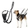 The Company of Animals Halti No Pull Harness Stop Your Dog Pulling on the Leash Adjustable Lightweight and Easy to Use Reflective Dog Training Harness for Small Dogs Size S Black