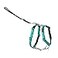 PetSafe 3 in 1 NoPull Dog Harness for Small Dogs Walk Train or Travel Helps Pets from Pulling on Walks Seatbelt Loop Doubles as Quick Access Handle Reflective Extra Small Teal