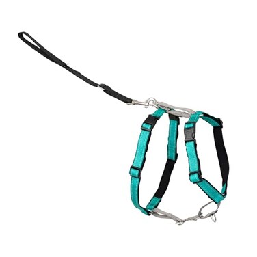 PetSafe 3 in 1 NoPull Dog Harness for Small Dogs Walk Train or Travel Helps Pets from Pulling on Walks Seatbelt Loop Doubles as Quick Access Handle Reflective Extra Small Teal