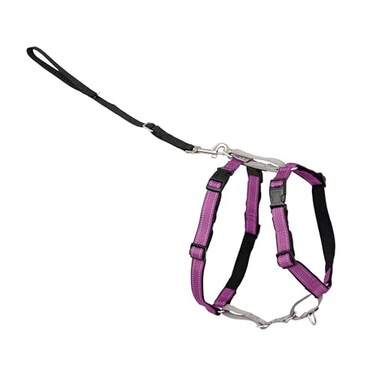 PetSafe 3 in 1 Dog Harness No Pull Solution for Dogs Reflective Dog Harness Front DRing Clip Helps Stop Pulling Comfortable Padded Straps Top Handle Enhances Control Plum Small