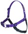 Softouch Concepts SENSEation NoPull Dog Harness Purple Medium