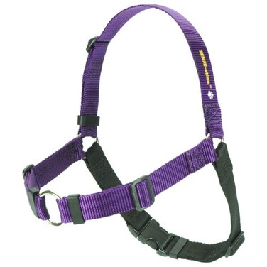 Softouch Concepts SENSEation NoPull Dog Harness Purple Medium