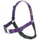 Softouch Concepts SENSEation NoPull Dog Harness Purple Medium