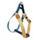 Pawhuggies TriColor Dog Harness Adjustable Stepin Design for Small Dogs Heavy Duty Puppy Harness Easy Walking Blue Orange