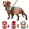 Muttitude World Collection Dog Harness for Small Breeds Extra Large Pueblo