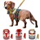Muttitude World Collection Dog Harness for Small Breeds Extra Large Pueblo