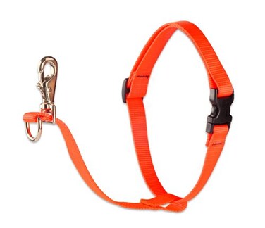 LupinePet Basics 1 Blaze Orange 2638 No Pull Harness for MediumLarger Dogs