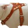 Dogs My Love Genuine Leather Dog Harness Medium 25529 Chest Size 1 Wide Amstaff Pitbull