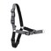 PetSafe Easy Walk Deluxe Dog Harness No Pull Dog Harness Perfect for Leash Harness Training Stops Pets from Pulling and Choking on Walks Large Steel