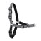 PetSafe Easy Walk Deluxe Dog Harness No Pull Dog Harness Perfect for Leash Harness Training Stops Pets from Pulling and Choking on Walks Large Steel