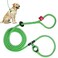 Harness Lead No Pull Dog Harness and Leash Set Anti Pull Dog Harness OnePiece Cushioned Rope Safely Prevents Escaping and Pulling MediumLarge PeacockBlueLime