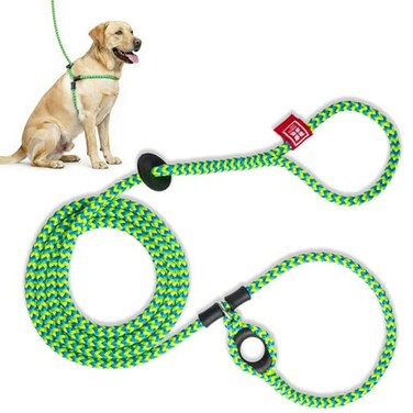 Harness Lead No Pull Dog Harness and Leash Set Anti Pull Dog Harness OnePiece Cushioned Rope Safely Prevents Escaping and Pulling MediumLarge PeacockBlueLime