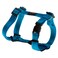 Rogz Reflective Adjustable H Harness for Small Dogs matching collar and leash available Turquoise