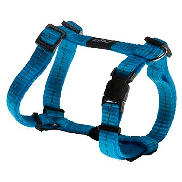 Rogz Reflective Adjustable H Harness for Small Dogs matching collar and leash available Turquoise