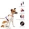 RosesPoetry RosesPoetry Dog Harness with Leash No Pull Adjustable Harness Leash Reflective Dog Halter Harnesses Comfort Padded Handle Pet Walking Harness for Medium DogsMistyroseM