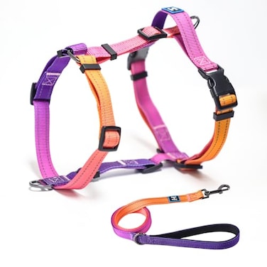 RosesPoetry RosesPoetry Dog Harness with Leash No Pull Adjustable Harness Leash Reflective Dog Halter Harnesses Comfort Padded Handle Pet Walking Harness for Medium DogsMistyroseM