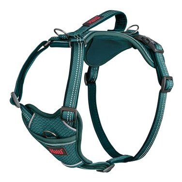Halti Anatomy Dog Harness with Handle Padded Adjustable Reflective No Pull Dog Harness 3 Leash Attachment Points Including Front Clip Suitable for Medium Dogs Size M Teal