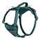 Halti Anatomy Dog Harness with Handle Padded Adjustable Reflective No Pull Dog Harness 3 Leash Attachment Points Including Front Clip Suitable for Medium Dogs Size M Teal